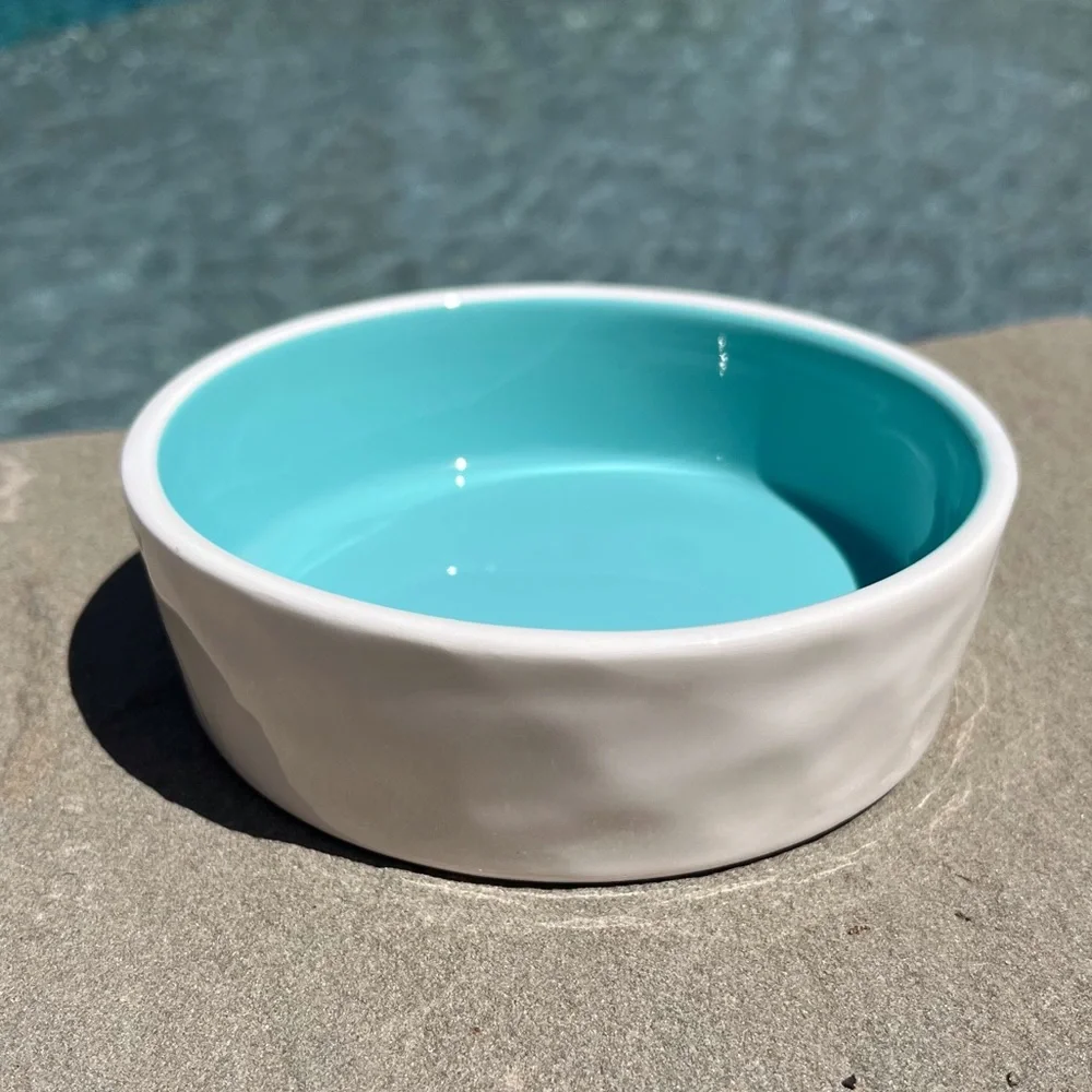 Rae Dunn Pet Bowl White & Turquoise DRINK Artisan Collection By Magenta Dimples